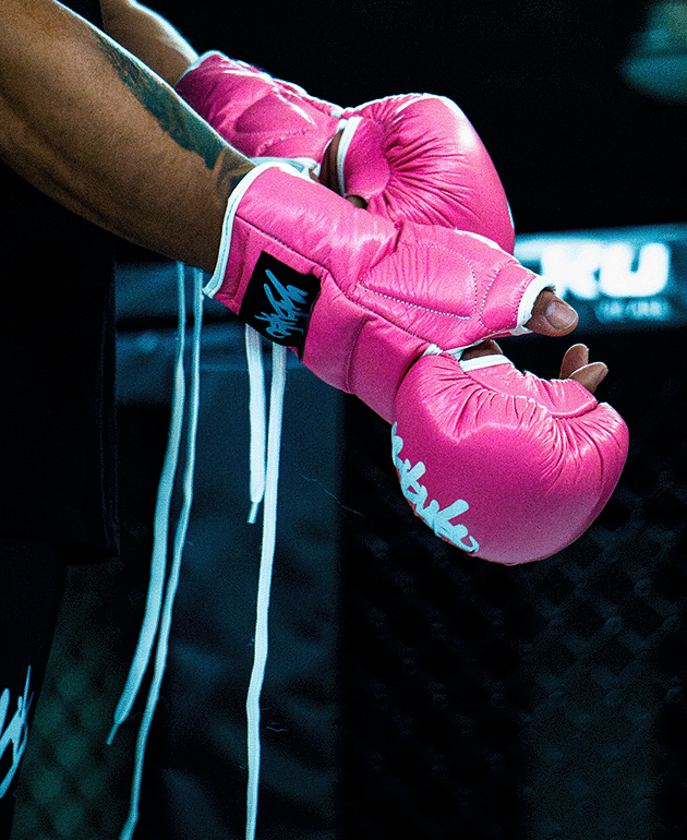 MMA GLOVES