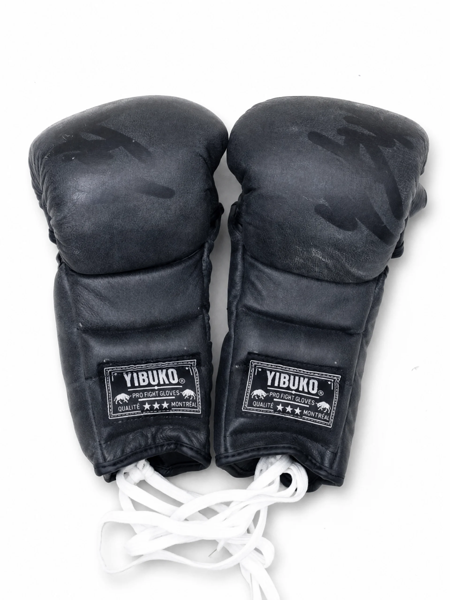 GANTS DE SPARRING MMA